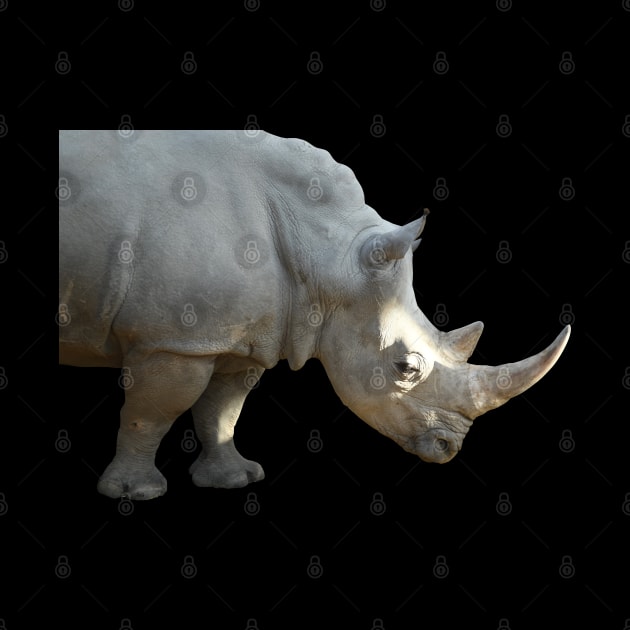 Rhino by Wolf Art / Swiss Artwork Photography