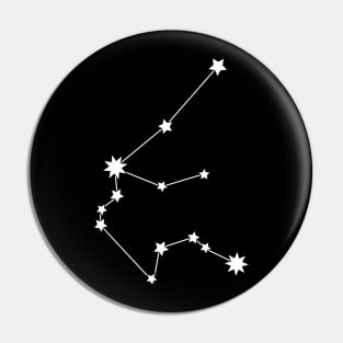 Aquarius Star Sign Pin