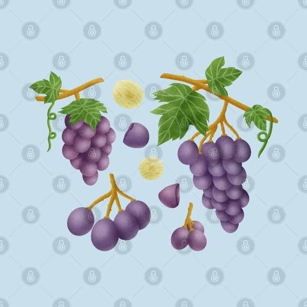 Grapes by CleanRain3675