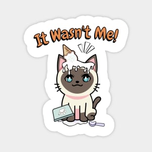 It wasnt me - Siamese cat Magnet