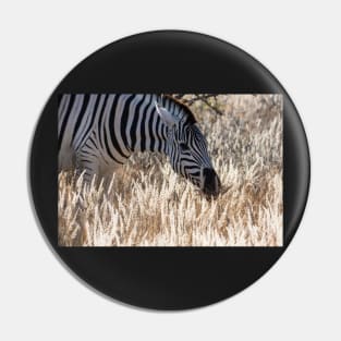 Zebra portrait. Pin