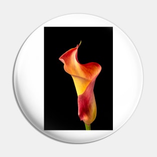 Twisted Shapely Calla liliy Pin