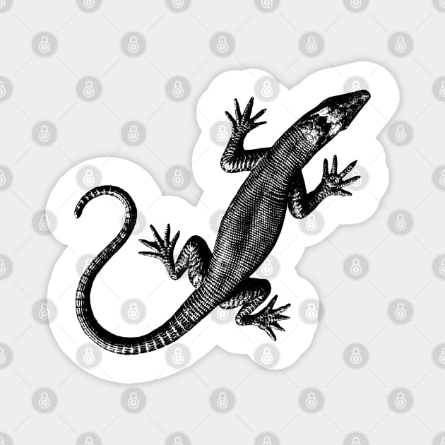 Metal Lizzard Magnet by R LANG GRAPHICS