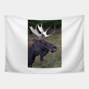 Canadian Moose Tapestry