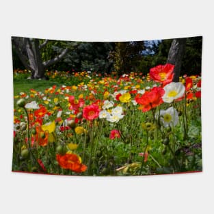 Colorful field of poppies Tapestry