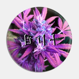 420 Pin