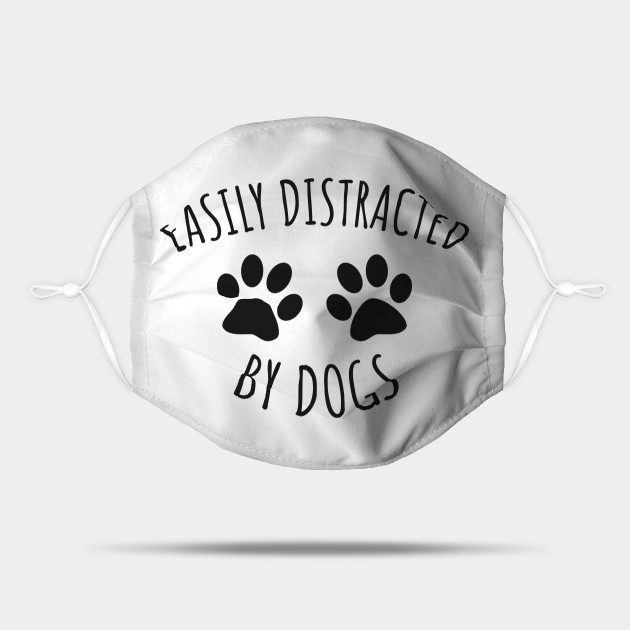 best ways help a easily distracted dog undistracted