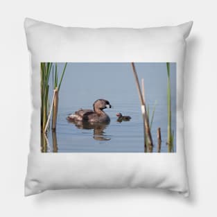 Pied-billed Grebe Pillow