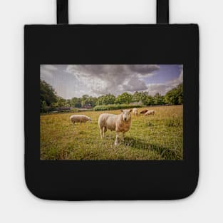 The Ram Tote