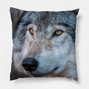 Timber Wolf Portrait Pillow