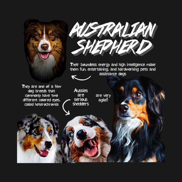 Australian Shepherd Fun Facts by Animal Facts and Trivias