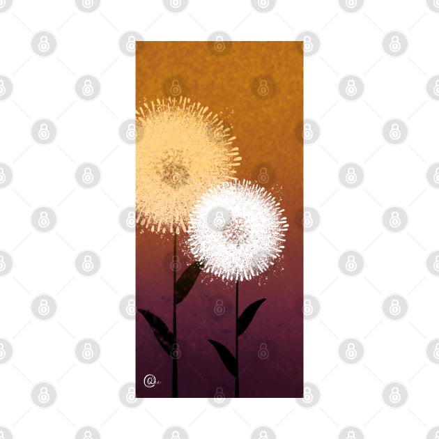 Dandelions during the golden hour by RoseDesigns1995