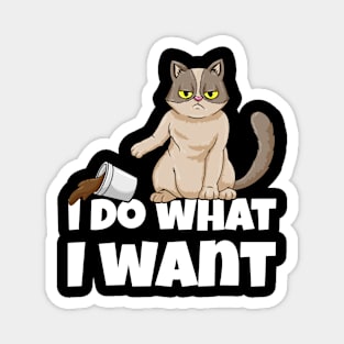 I Do What I Want Funny Cat Coffee Sarcasm Magnet