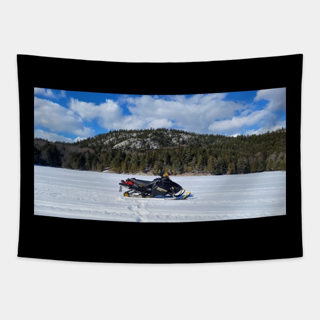 Snowmobiling Tapestry by Calmer than you are.