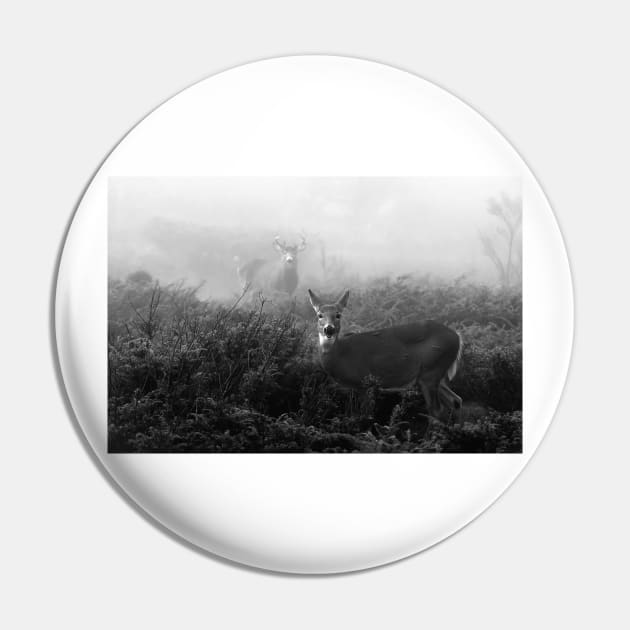 The rut in B&W - White-tailed Deer Pin by Jim Cumming