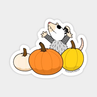 PUMPKINS Magnet