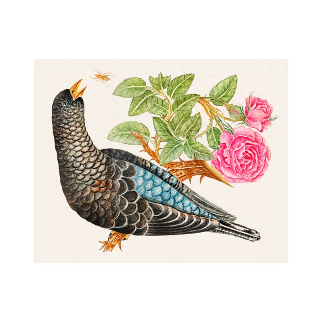 Blue-Black Bird on Rose Branch with Spider (18th Century) by WAITE-SMITH VINTAGE ART