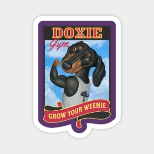 Fun dachshund in gym where you grow your weenie in red Magnet