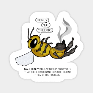 Honey Bee by Zoodraws Magnet
