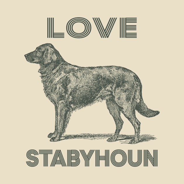 Love Stabyhoun Dog by tabaojohnny