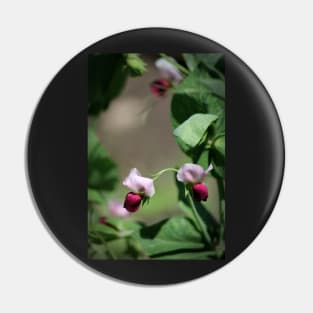 Sweet Pea Blossoms Pin