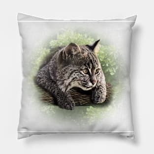 Bobcat cub Pillow