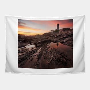 Beavertail Lighthouse Tapestry