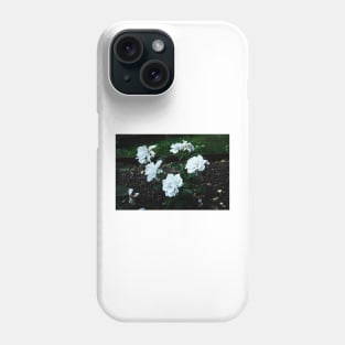 Coloma Garden White roses Phone Case