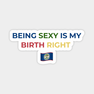 Being Sexy is My Birth Right Belize Magnet