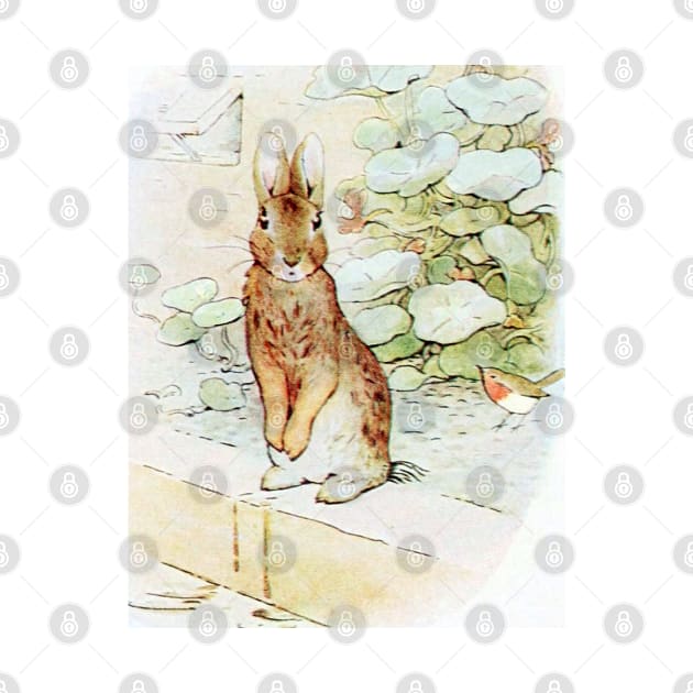 Peter Rabbit Lost in the Garden by forgottenbeauty