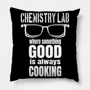 Chemistry Lab Pillow