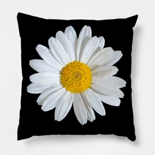 Marguerite on black Pillow