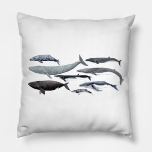 Whale diversity Pillow