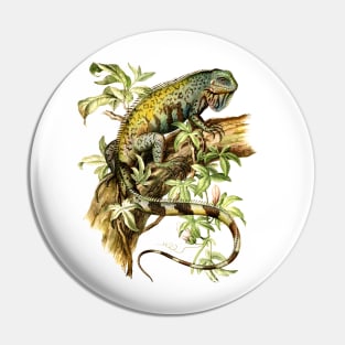 Vintage Iguana Illustration Pin