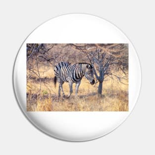 Zebra in the Bush Pin