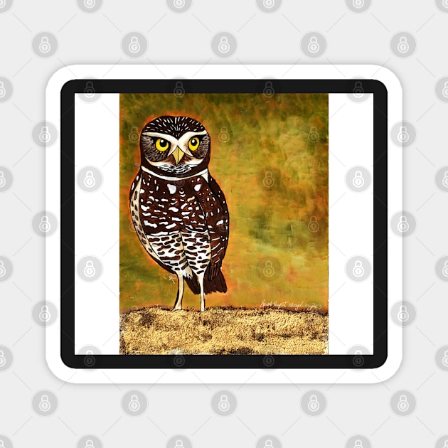 Burrowing Owl - solo Magnet by Peleegirl