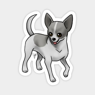 Dog - Chihuahua - Short Haired - Black and White Magnet