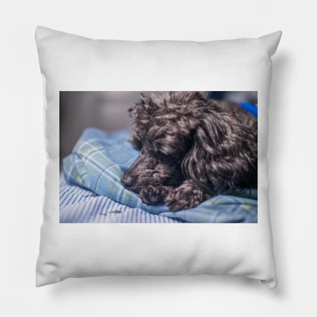 Dolly Molly Pillow by KensLensDesigns