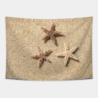 Starfishes Tapestry