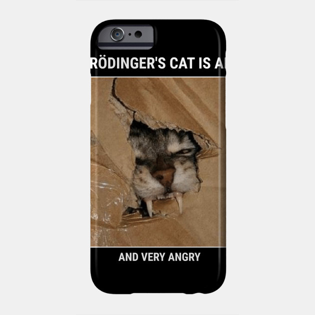 Schrodingers Cat Meme Schrodingers Cat Phone Case Teepublic