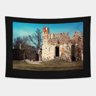 Ruins of medieval castle Tapestry