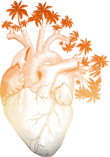 Orange Colored Anatomically Correct Human Heart - Palm Trees Magnet