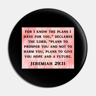 Bible Verse Jeremiah 29:11 Pin