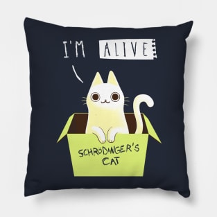 Schrödinger's Cat Dead or Alive - Day Cat in a Box - Funny Physics Pillow
