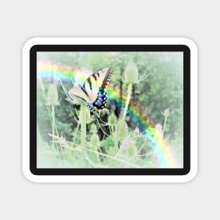 Swallowtail and Rainbow Magnet