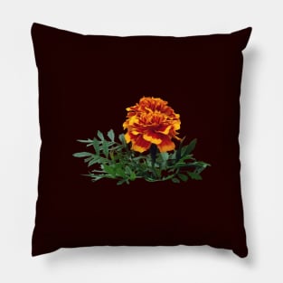 One Orange Marigold with Yellow Tips Pillow