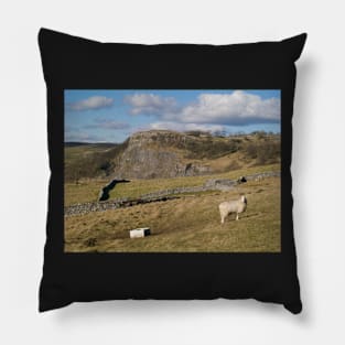 Lazy Dales Afternoon Pillow