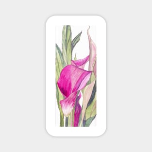 Pink Calla Lily watercolour painting Magnet
