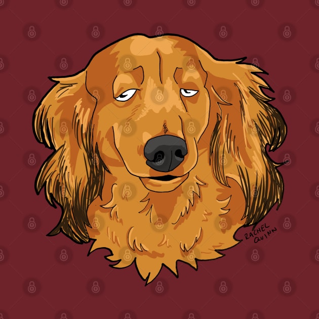 Long Haired Dachshund by ApolloOfTheStars