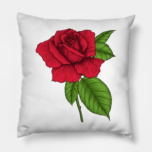 Red rose Pillow